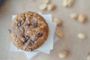 gluten free peanut butter chocolate muffins