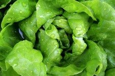 food preservation