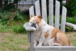 sleep and weight loss
