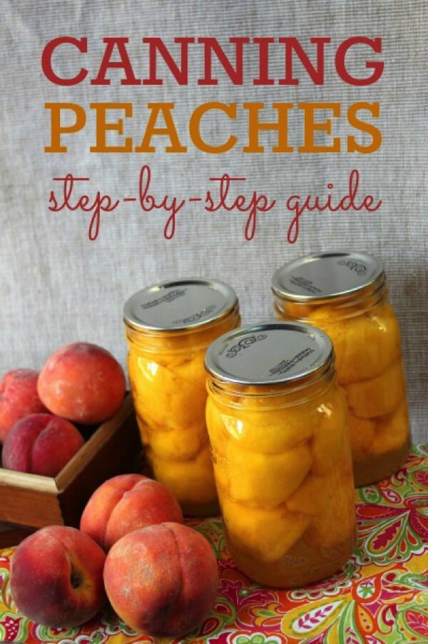 Mason jars of peaches with the text overlay \"Canning Peaches step by step guide.\"
