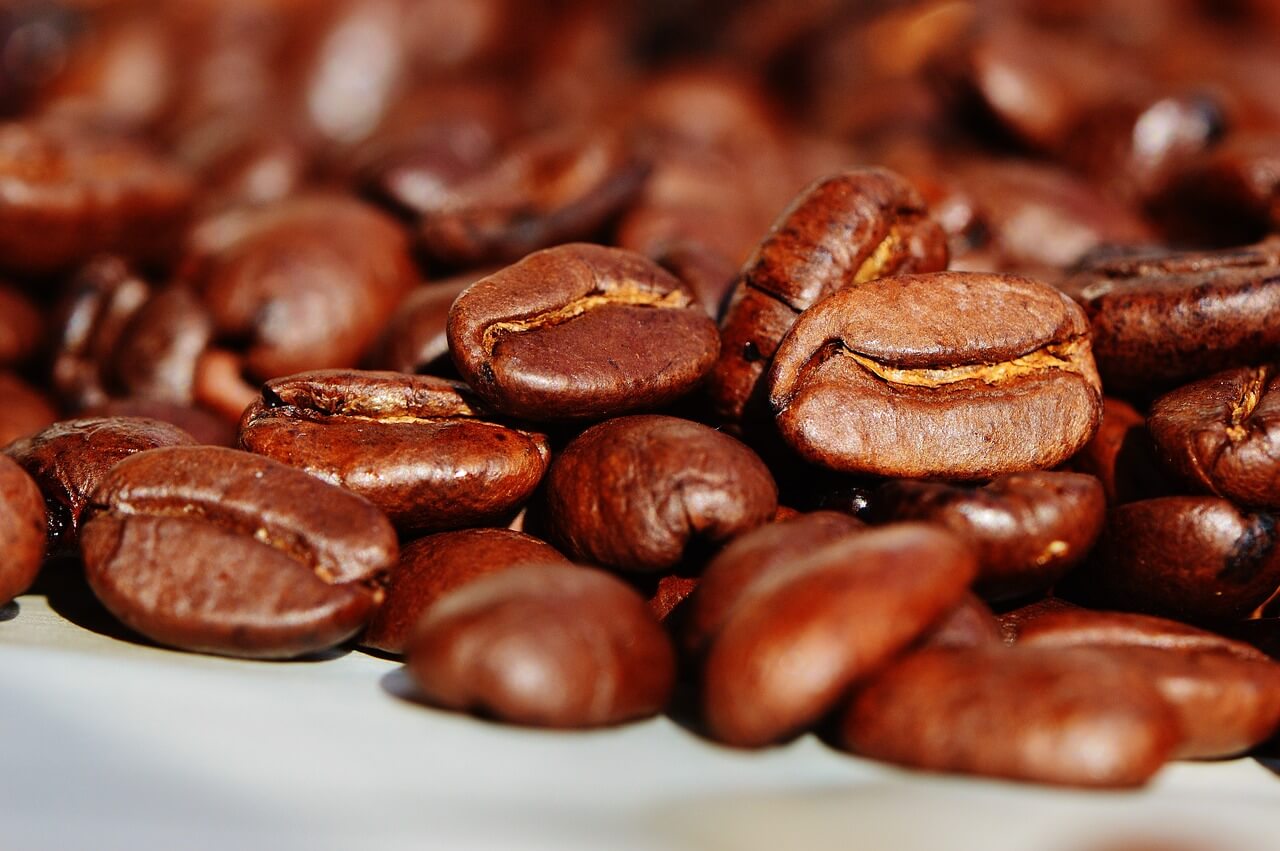 A close up of coffee beans.