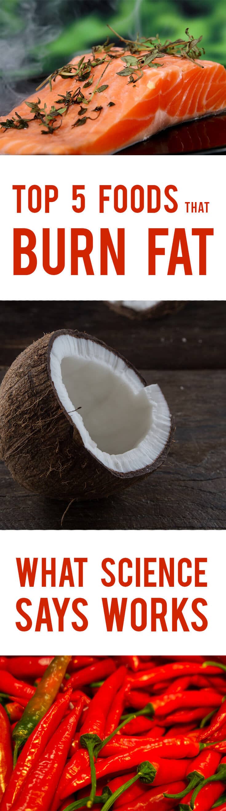Two opened coconuts.