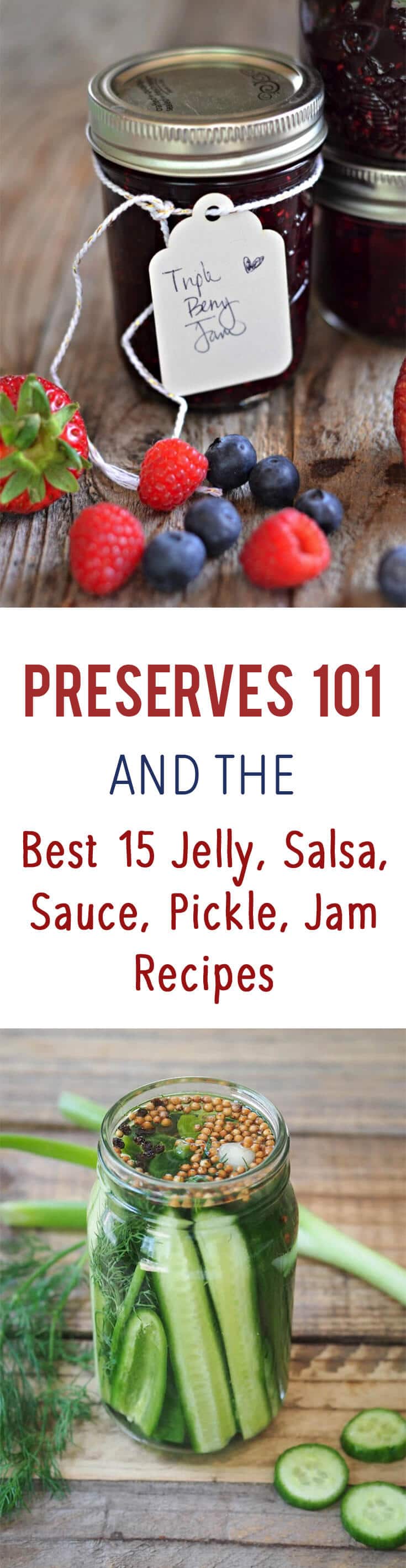 A pinterest image of jars with the text overlay \"Preserves 101 and the Best 15 Jelly, Salsa, Sauce, Pickle, Jam Recipes.\"