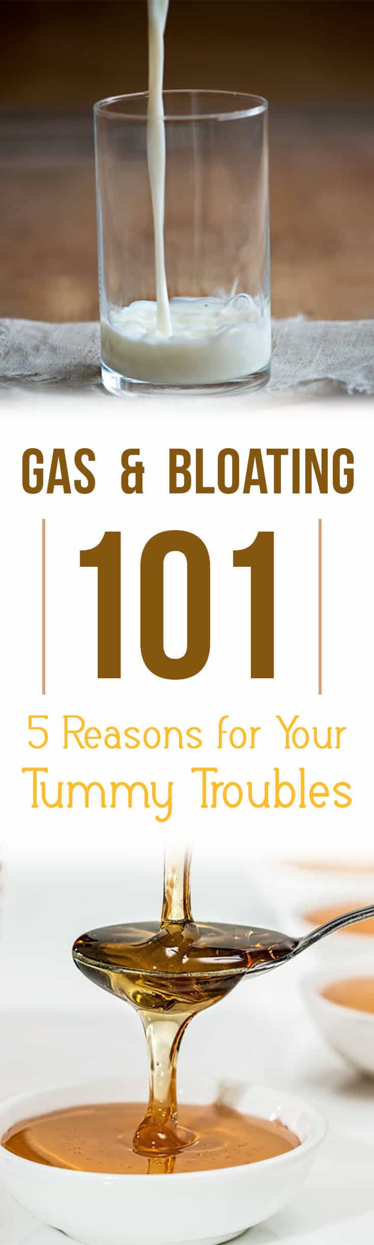Pinterest image with the text \"gas & bloating 101. 5 reasons for your tummy troubles.\"