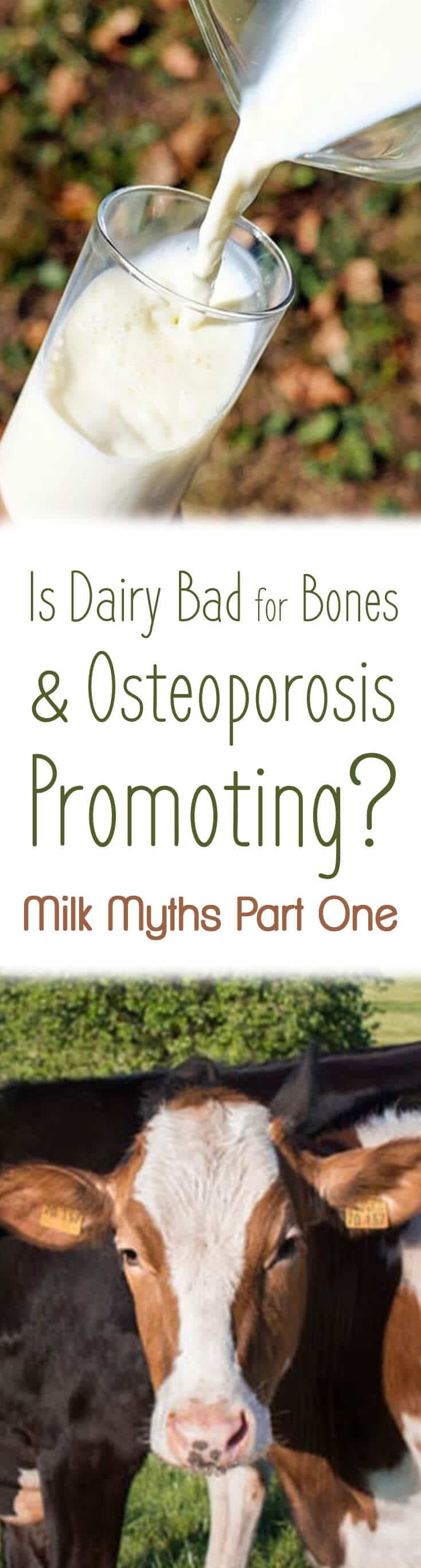 A pinterest image of milk and cows with the text overlay \"Is Dairy Bad for Bones & Osteoporosis Promoting? Milk Myths Part One.\"