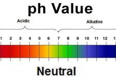 pH Value chart.