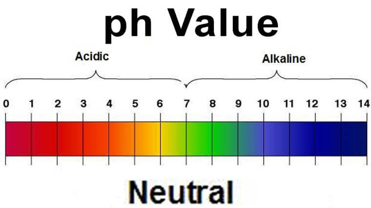 pH Value chart.