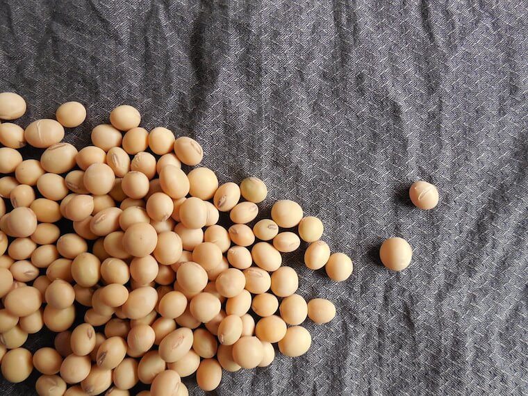 image of Soy beans against a dark background. 