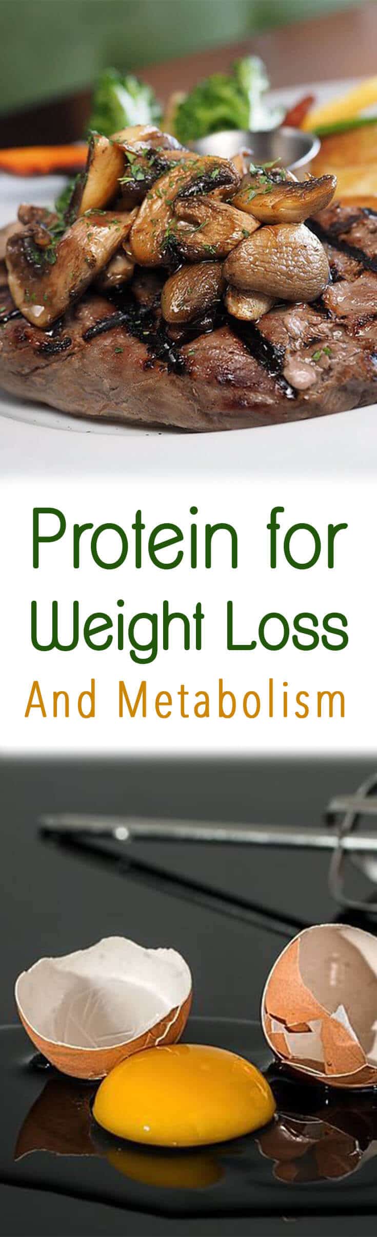 I dig into the research to discover the the power of protein for weight loss!