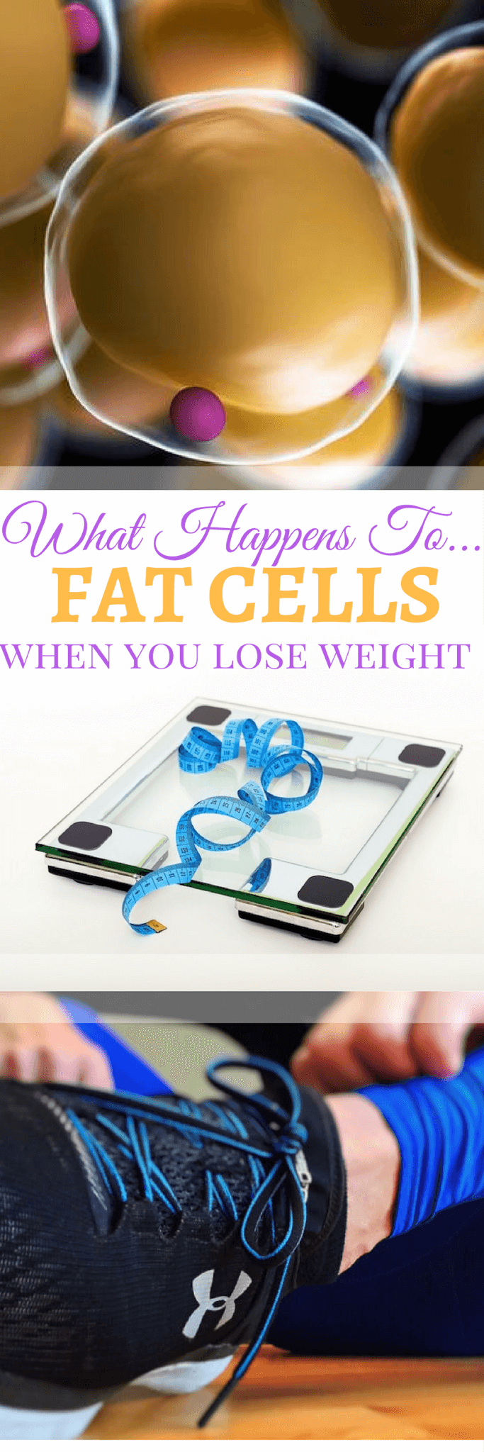 A pinterest image of fat cells, scales, and running shoes with the text overlay \"What Happens To Fat Cells When You Lose Weight.\"