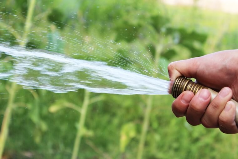 A hose with water coming out of it.