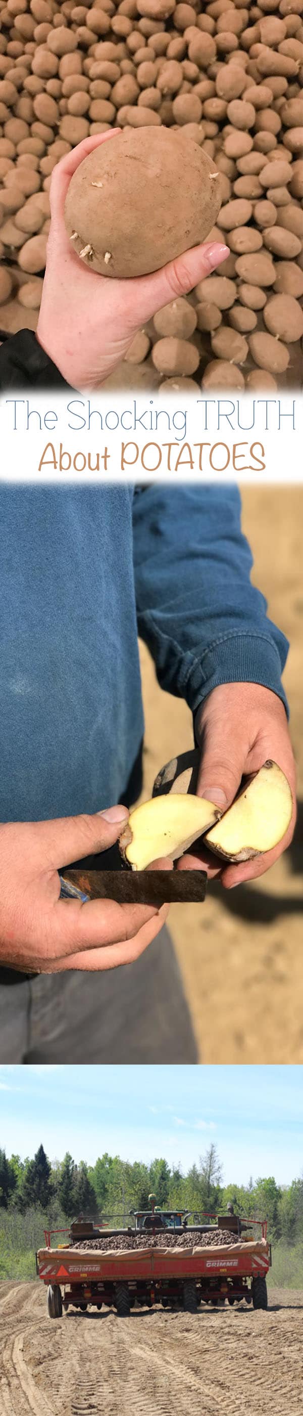 A man slicing a potato in half.