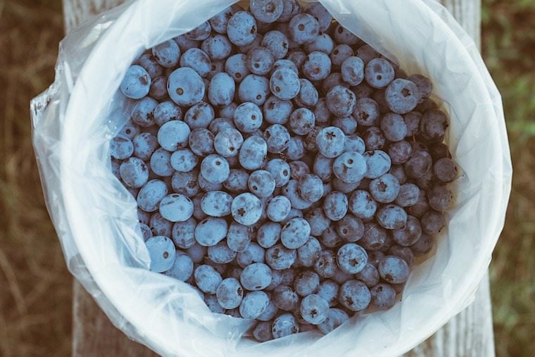 A photo of blueberries.