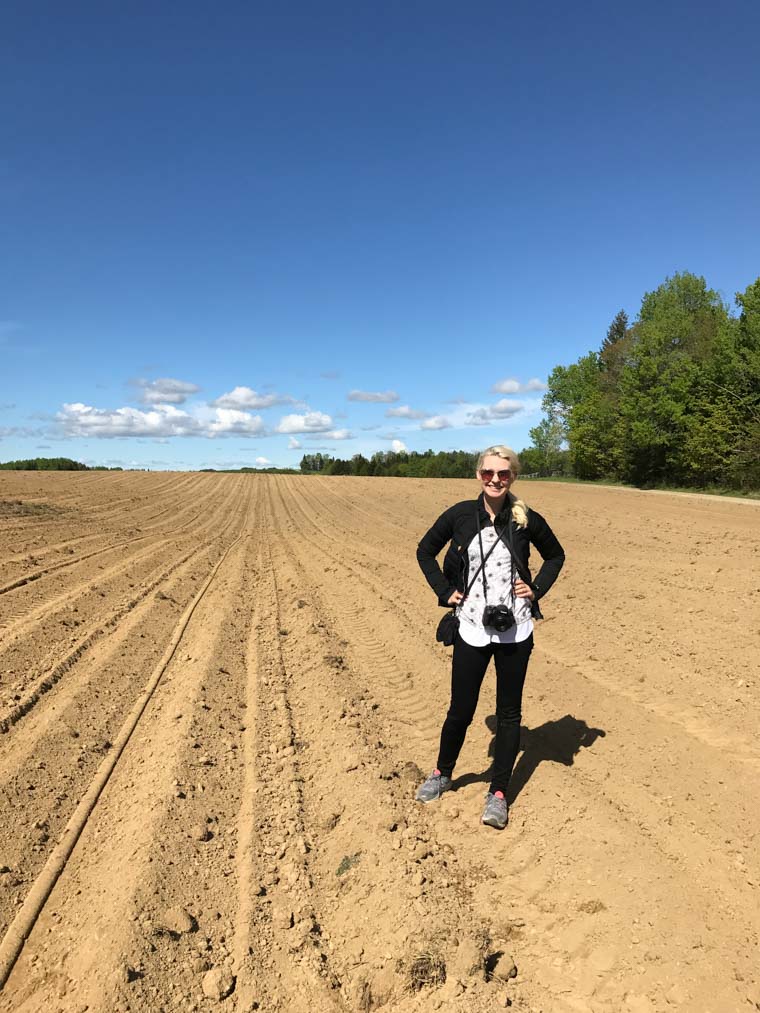 Abbey standing in a potato field.