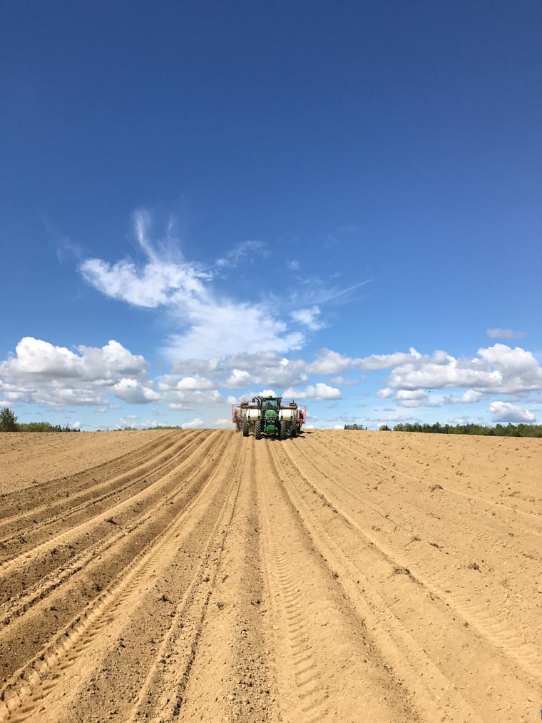 A truck driving in a potato field.