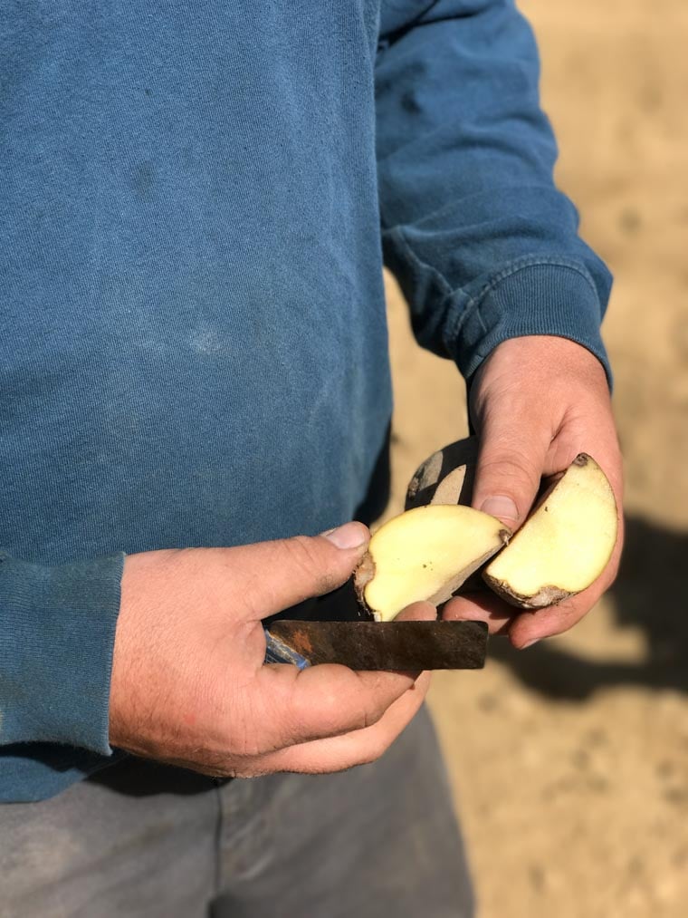 A man cutting a potato in half.