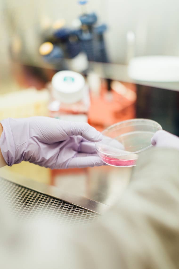 A hand holding a petri dish.