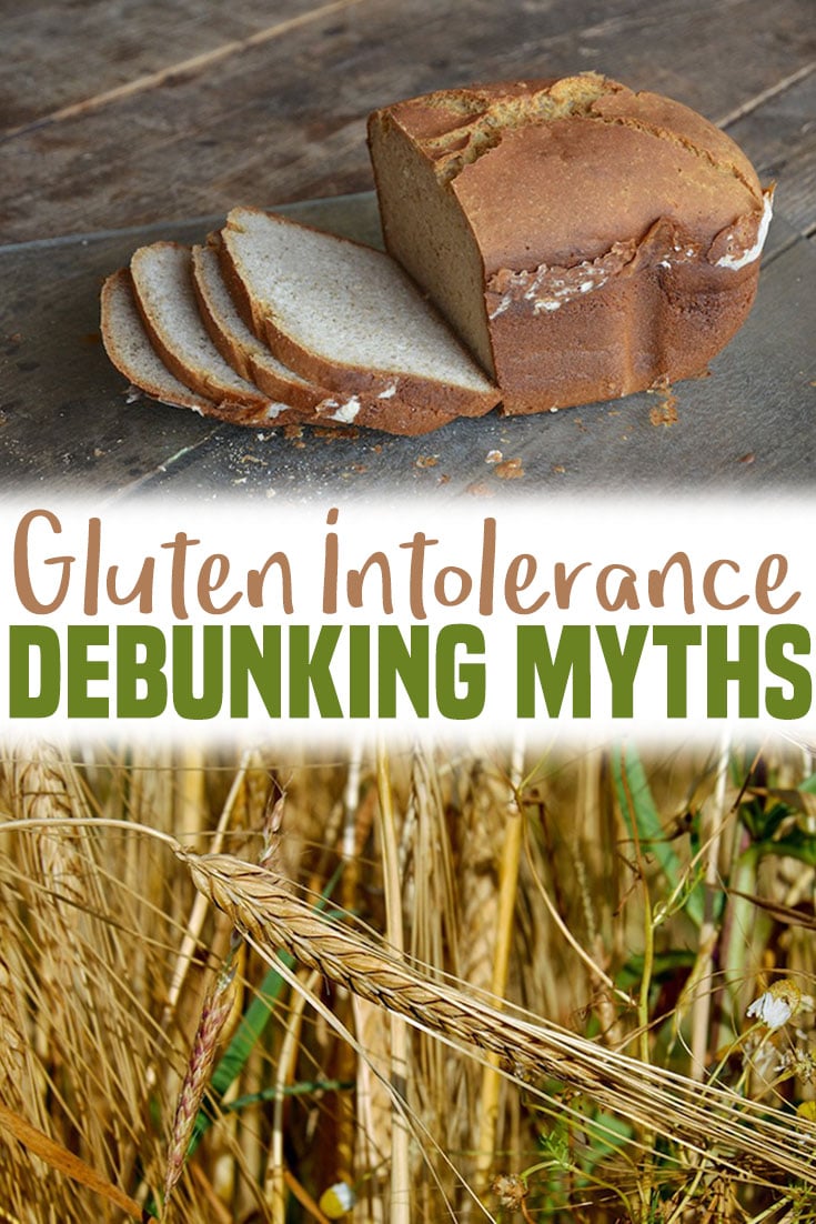 A pinterest image of bread and wheat with the overlay text \"Gluten Intolerance Debunking Myths.\"