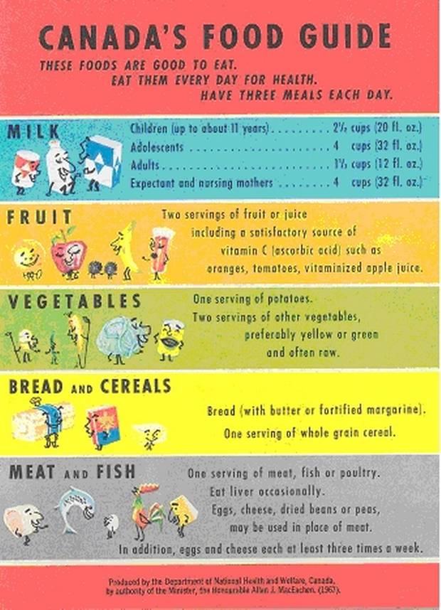 infographic from canada's new food guide