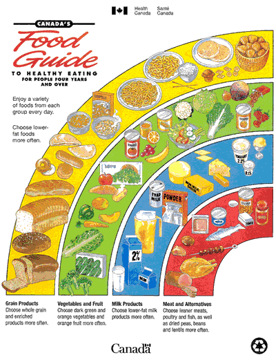 infographic from canada's food guide