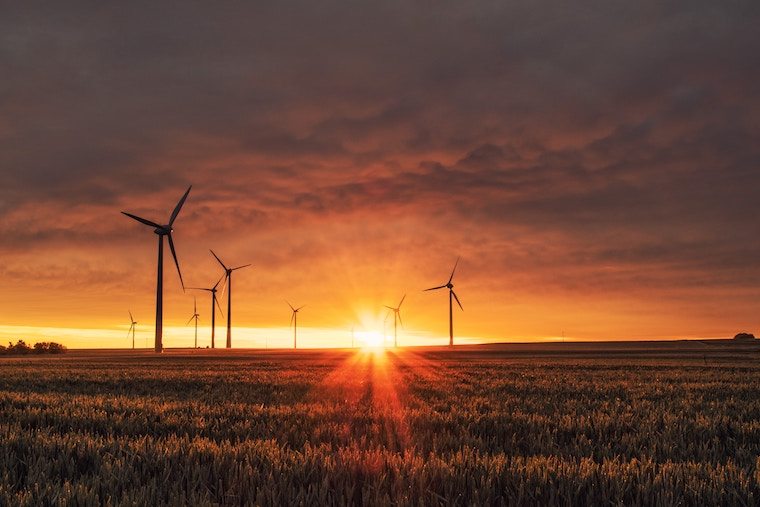 sunset over a field