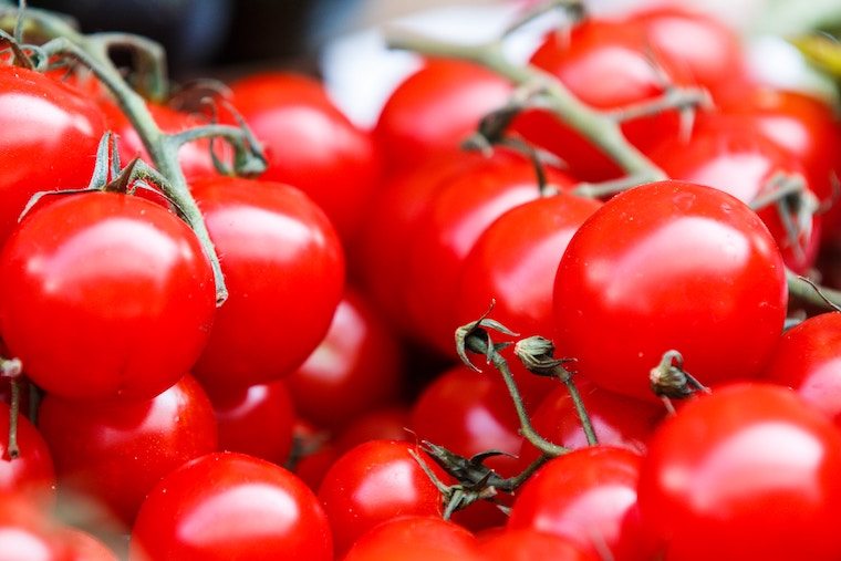 Close up photos of tomatoes.