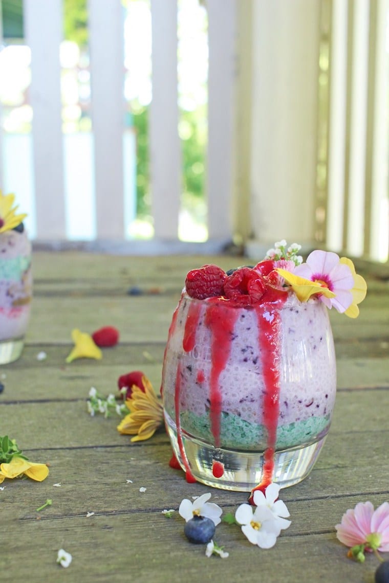 A glass cup of light purple and green chia seed pudding with raspberries on top.