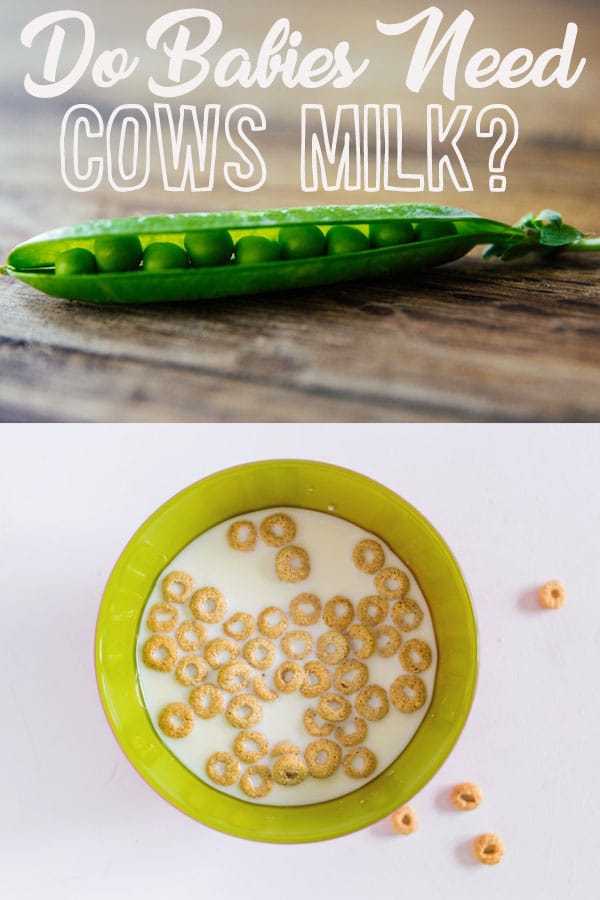 Pinterest image of a close up of a pea pod and a bowl of milk and cereal with the text overlay \"Do Babies Need Cows Milk?\"