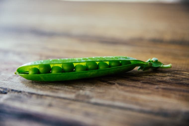 A close up of a green pea pod.