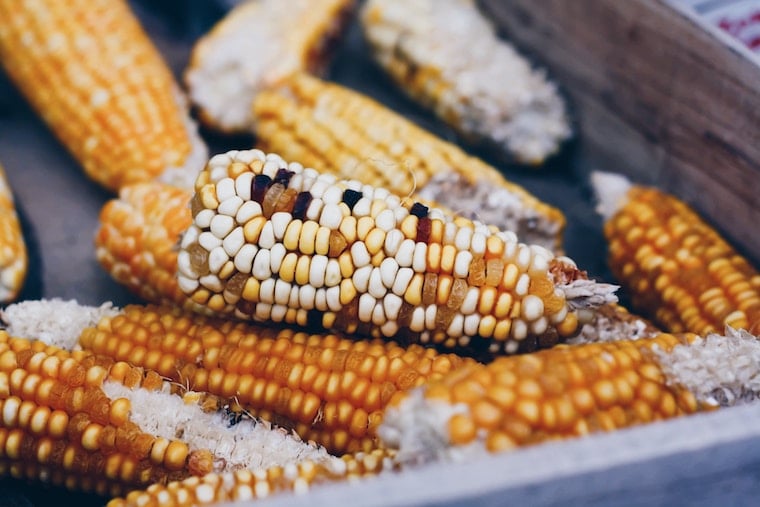 A group of corn.