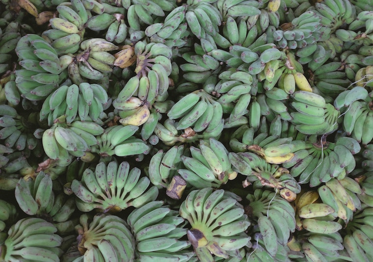 A bunch of green bananas.