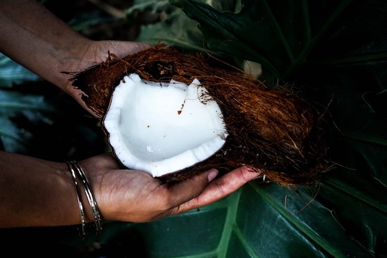 A hand holding a cracked opened coconut.