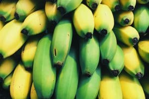 A bunch of green bananas.