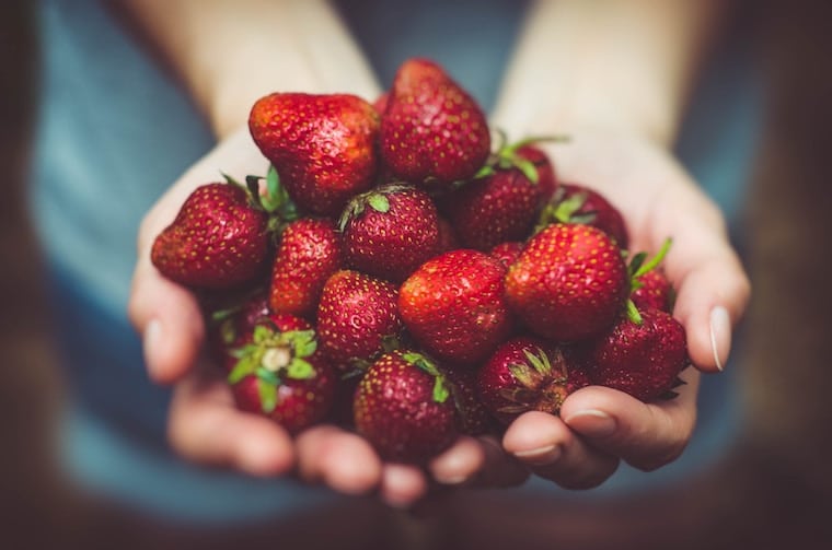 hands holding a bundle of strawberries