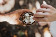 I dive into the research and answer the question does saturated fat cause heart disease and is the plant-based coconut oil healthy?