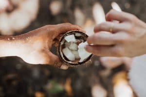 I dive into the research and answer the question does saturated fat cause heart disease and is the plant-based coconut oil healthy?