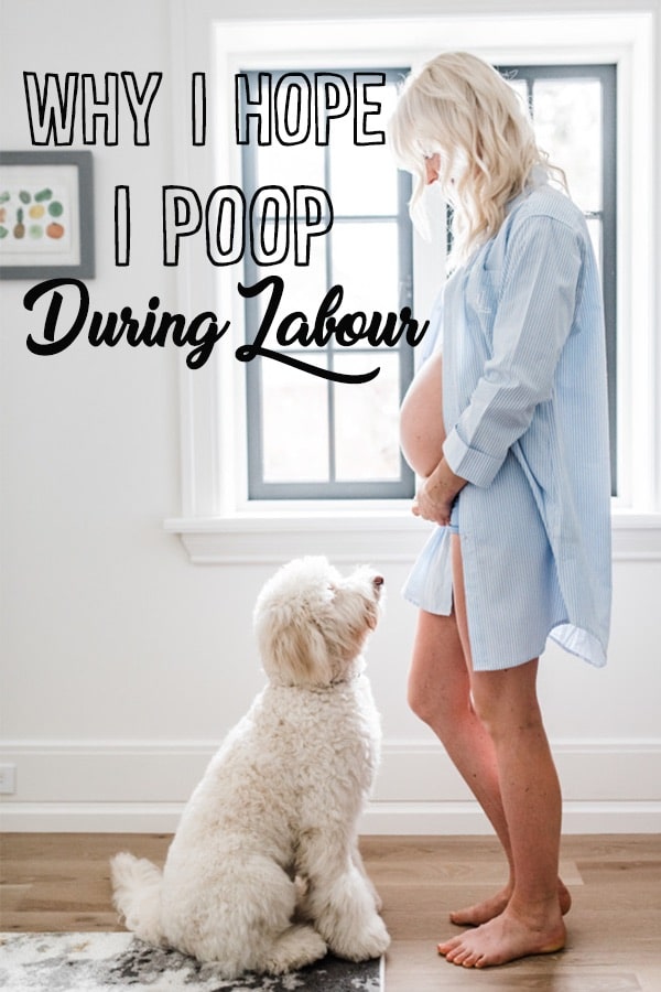 Pinterest image of a pregnant woman with the overlay text \"Why I hope I poop myself during labour.\"