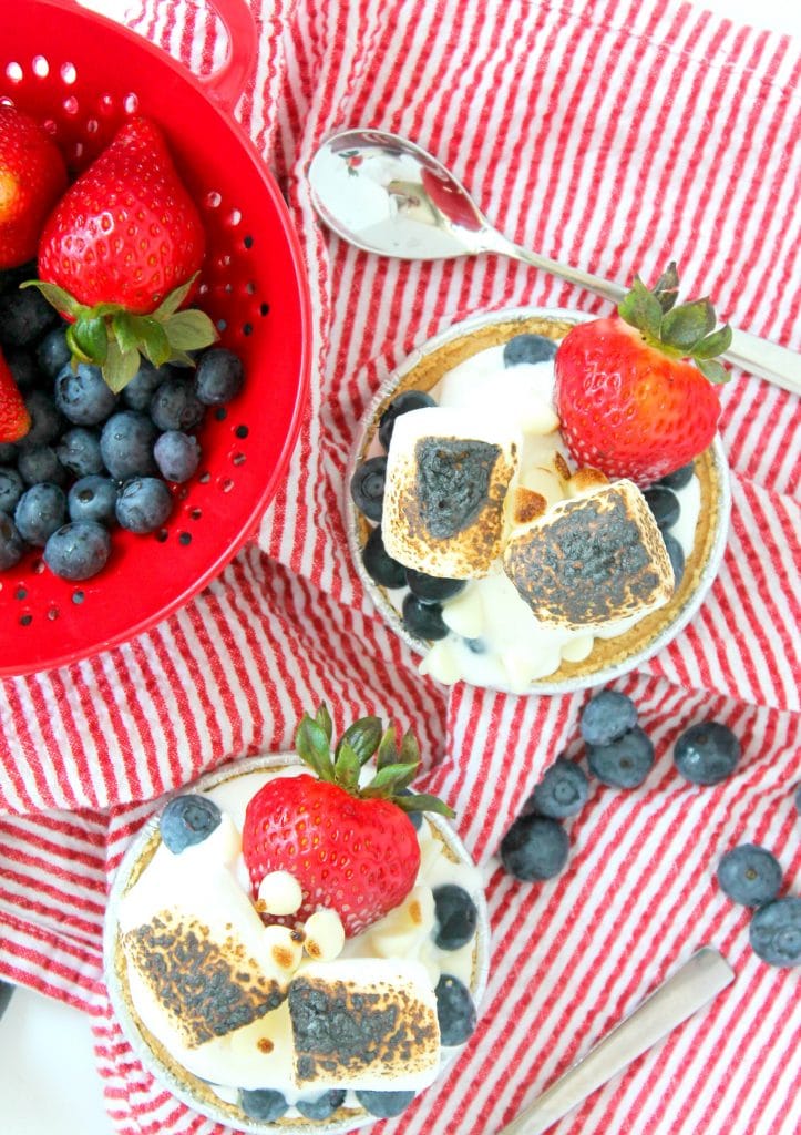 birds eye view of mini berry smores sundaes on a red and white picnic blanket