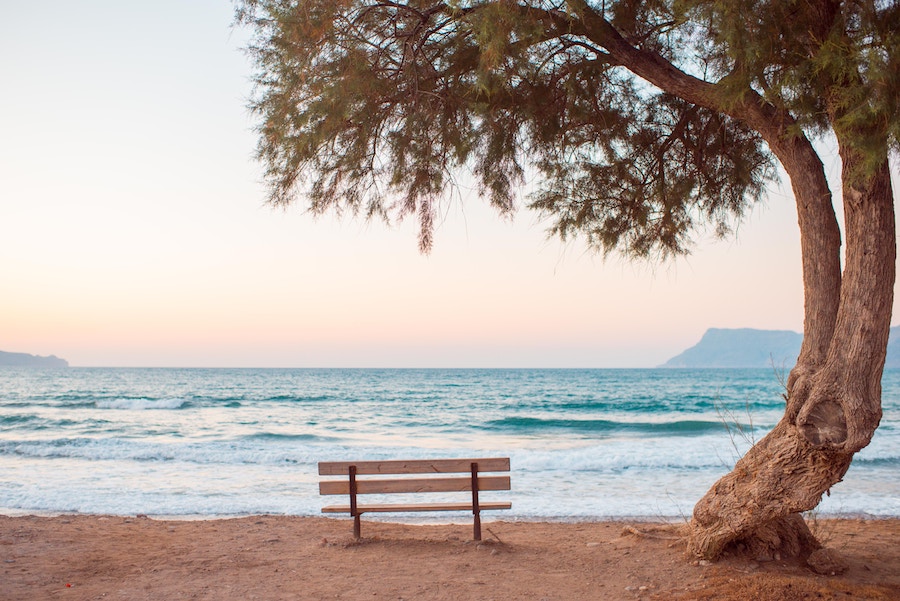 Bench next to a tree and beach. 