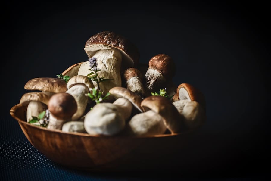 Close up of adaptogenic mushrooms.