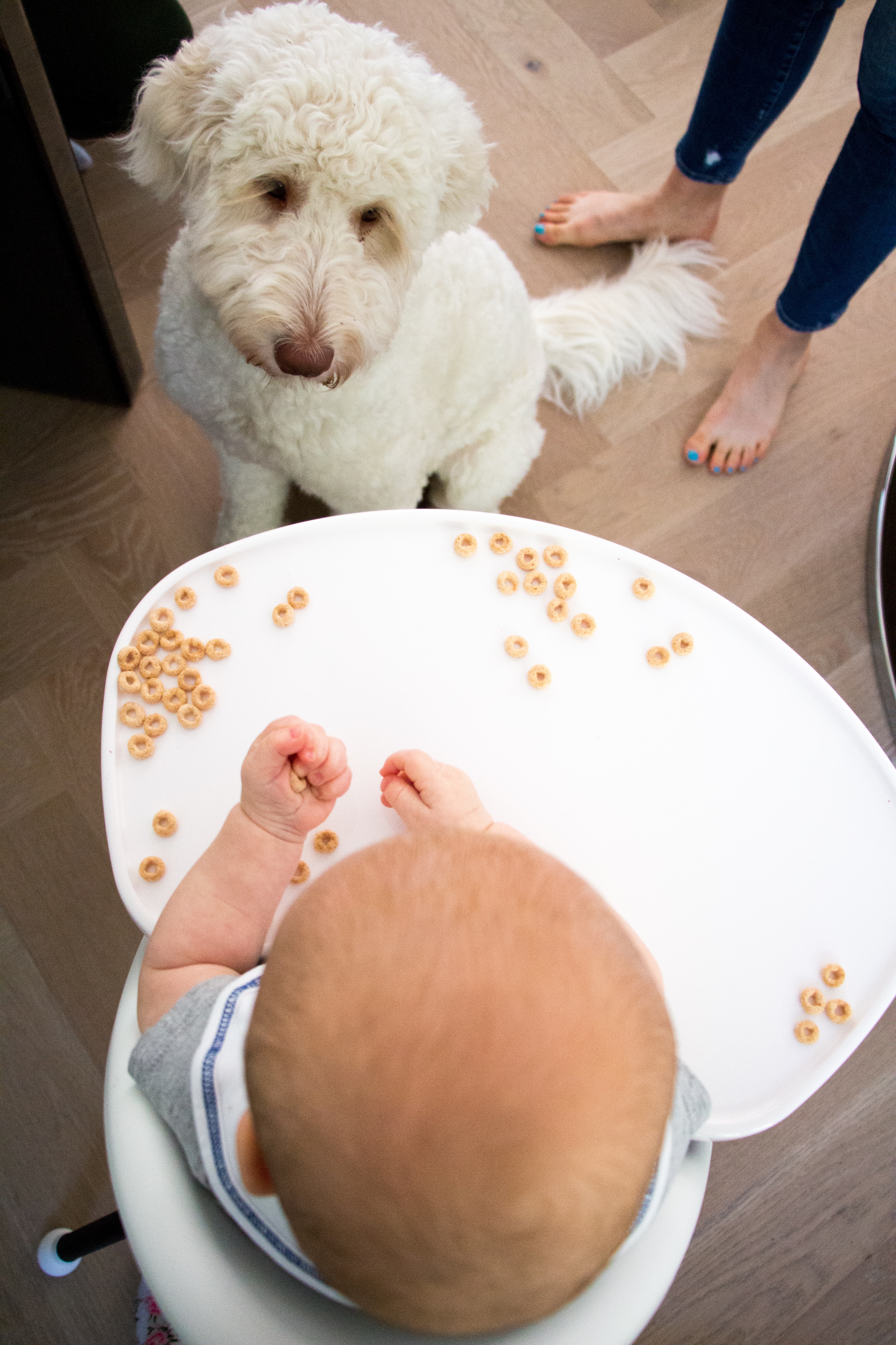 Baby sitting in a high chair.