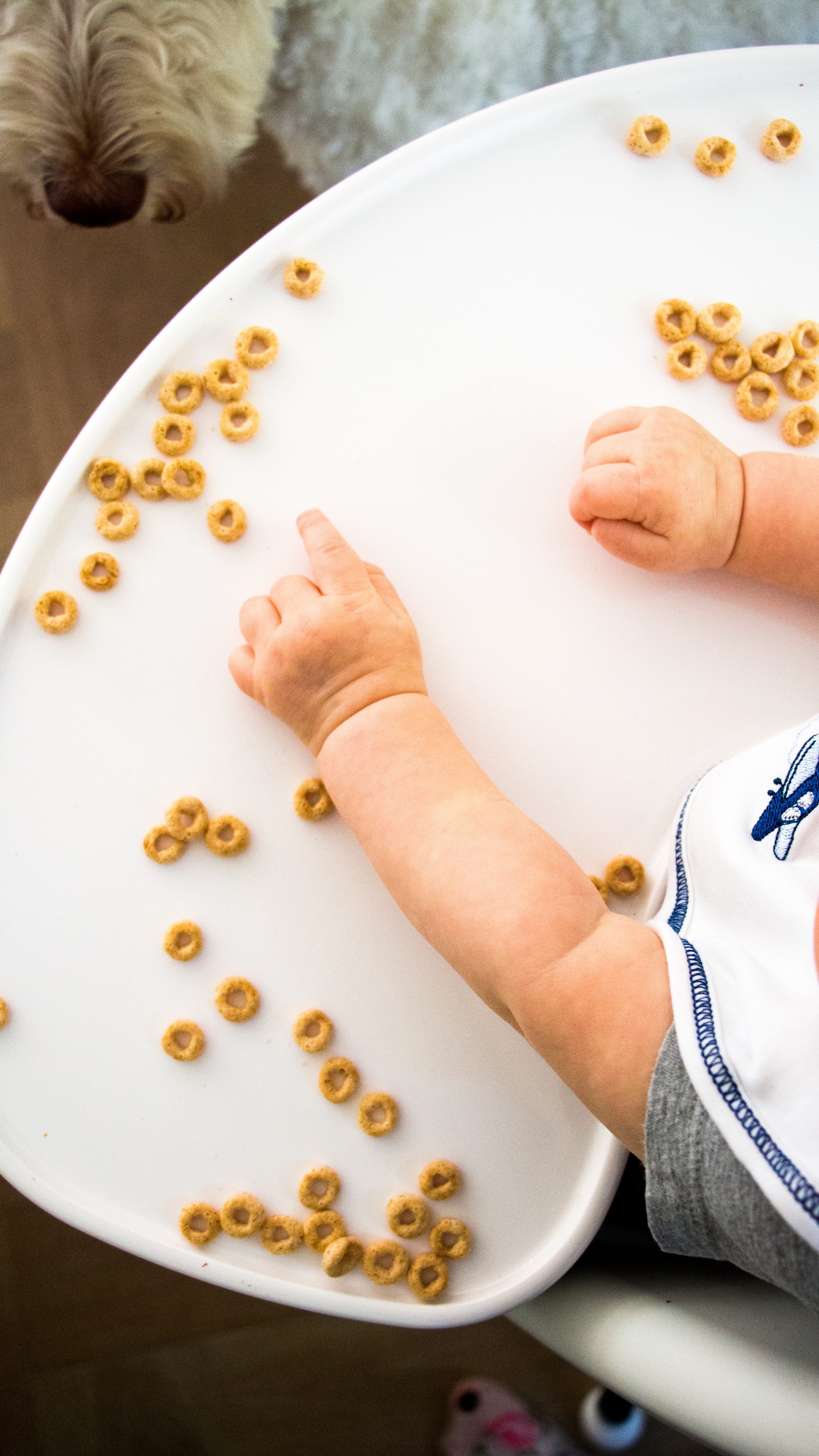 baby arms with cereal in front of them