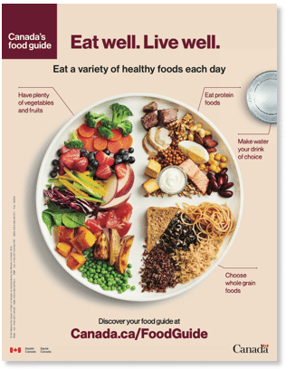 infographic of canada's food guide