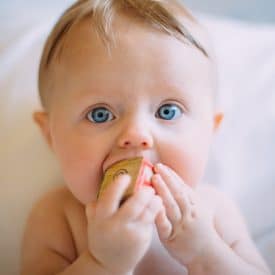 We look at the new guidelines on allergen introduction and discuss how and when to introduce food allergens to babies with baby led weaning or spoon-feeding.