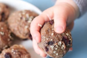 Baby hand holding mini muffin next to a white bowl filled with mini muffins.
