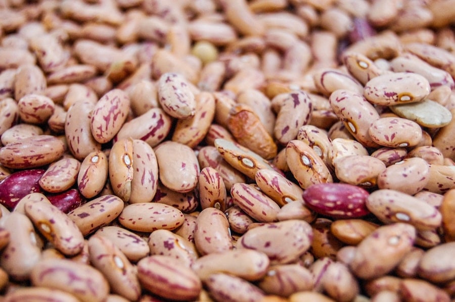 Dried beans.