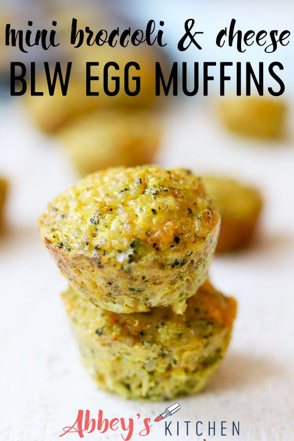 Baby Led Weaning Mini Broccoli and Cheese Egg Muffins Healthy BLW