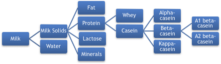 chart breaking down milk proteins