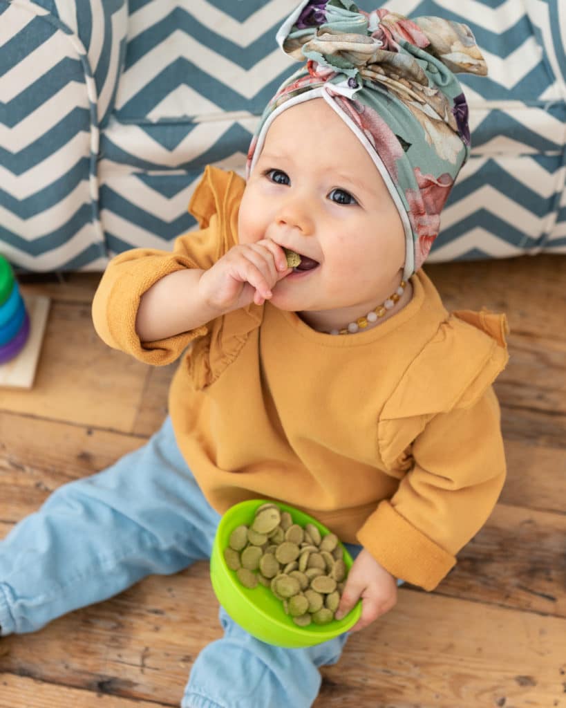 Baby eating a snack.