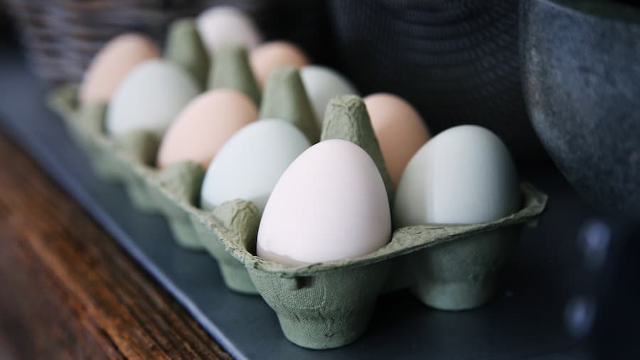 A dozen eggs in a carton. 